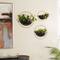 Set of 3 Black Iron Contemporary Planters, 15" x 14" x 5"